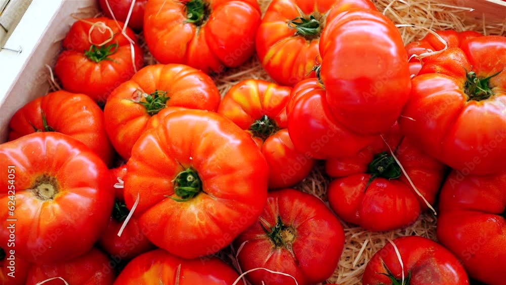 Bio organic fresh beefsteak tomatoes on farmers market Bio organic fresh beefsteak tomatoes on farmers market