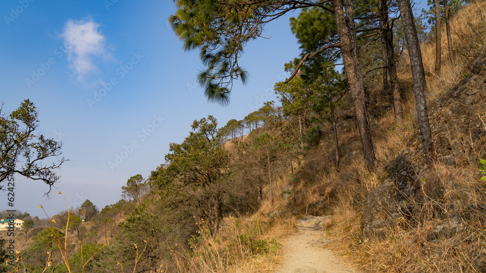 Scenic landscape of Kasauli, Gilbert trail also known as sunset point Scenic landscape of Kasauli, Gilbert trail also known as sunset point