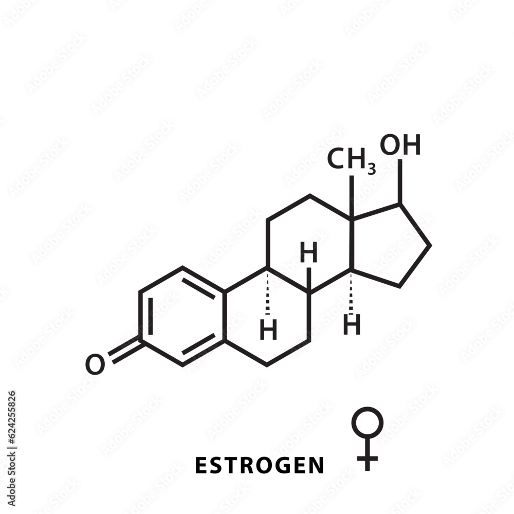 Estrogen structure formula flat style