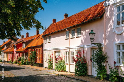 Quadro su tela Pretty streets and hollyhocks in bloom in Rønne, Bornholm Island in Denmark