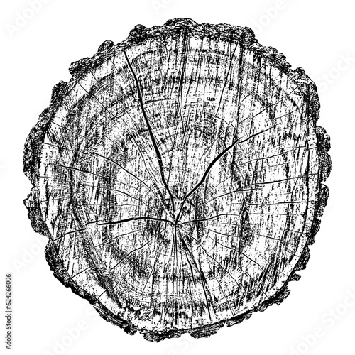 Wood texture cross section of tree rings. Cut slice of wooden stump isolated on white. Textured surface with rings and cracks. Black background made of hardwood from the forest. Vector illustration.