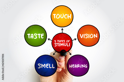 The 5 types of external stimuli - divided into our senses: touch, vision, smell and taste, mind map concept for presentations and reports photo