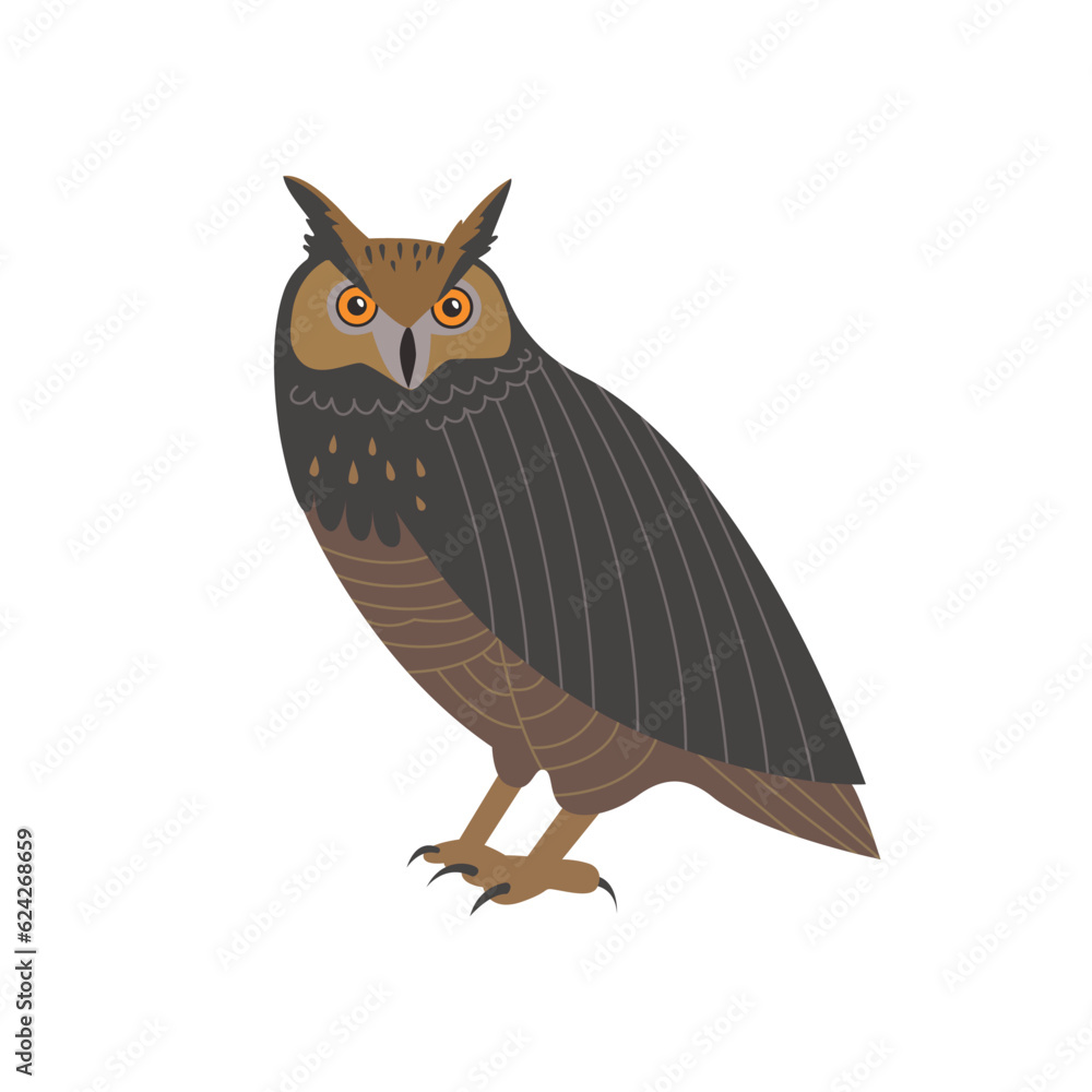 An owl looking straight ahead. Realistic handdrawn style illustration.. An owl looking straight ahead. Realistic handdrawn style illustration..