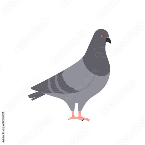 pigeons in the city. Realistic hand drawn style illustration.