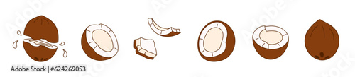 Set of hand-drawn cocos on a transparent background. Isolated vector illustration