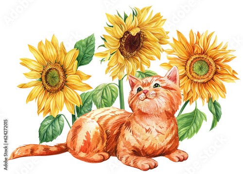 Cute ginger kitten and flowers sunflowers, watercolor hand drawing. Autumn composition, Happy animal
