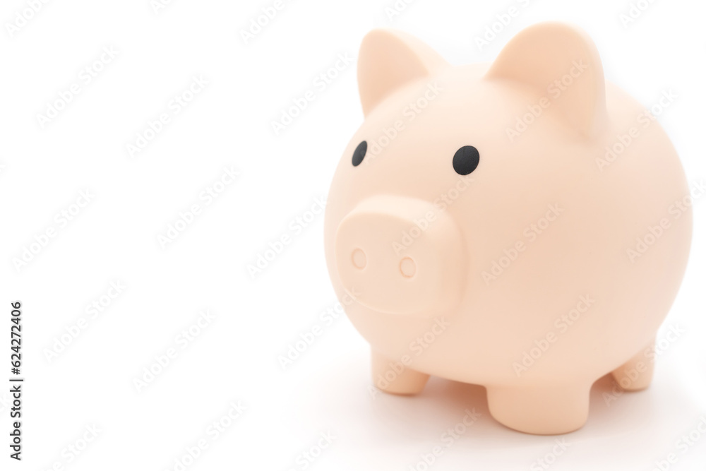 Piggy bank isolated on white background. Saving pig, small money box, planning home finances concept.