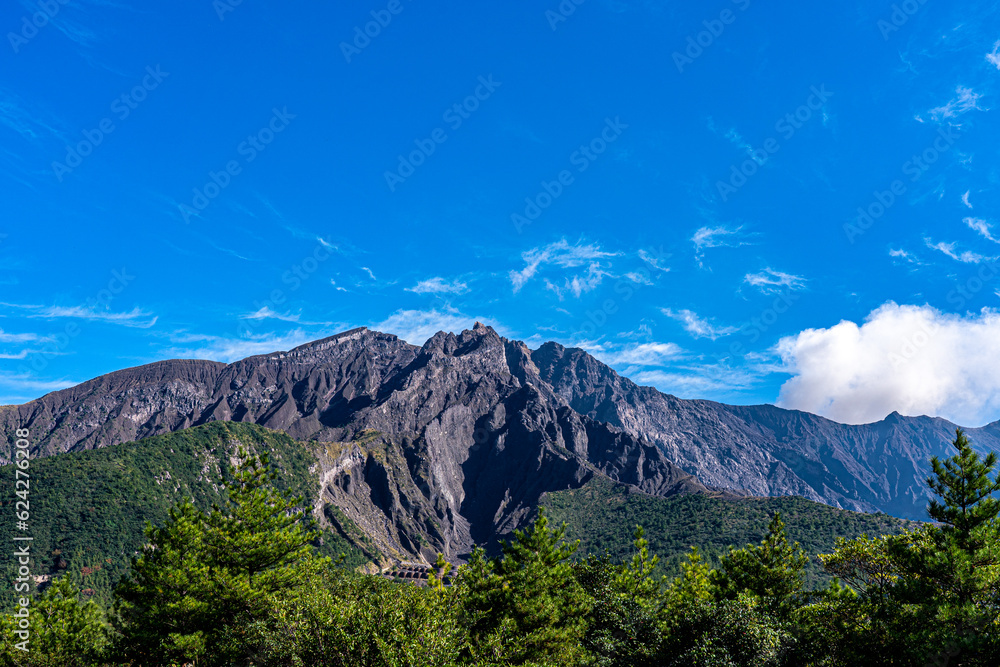 Obraz premium Sakurajima, symbol of Kagoshima city