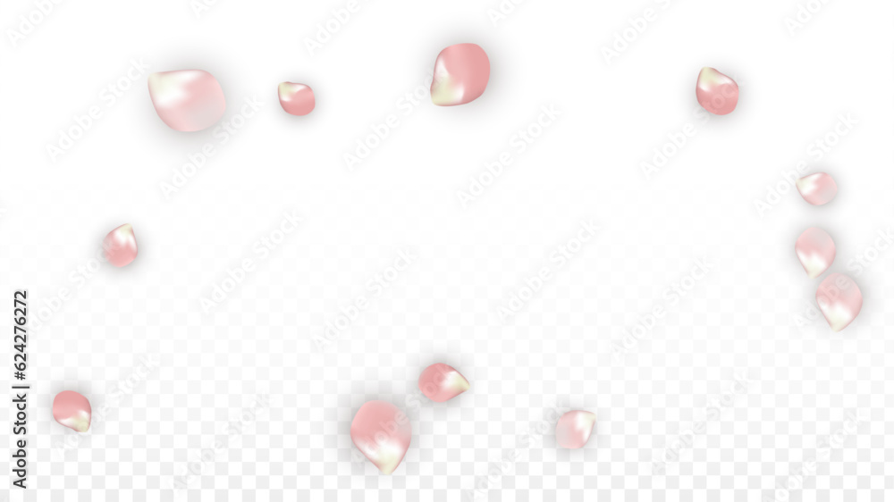 Pink Vector Realistic Petals Falling on Transparent Background. Spring Romantic Flowers Illustration. Flying Petals. Sakura Spa Design. Blossom Confetti. Design Elements for Wedding Decoration. Pink Vector Realistic Petals Falling on Transparent Background. Spring Romantic Flowers Illustration. Flying Petals. Sakura Spa Design. Blossom Confetti. Design Elements for Wedding Decoration.