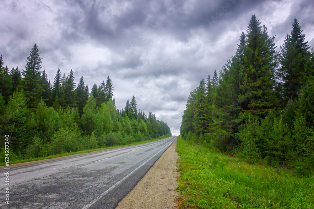 Landscape asphalt road coniferous forest cloudy sky summer.