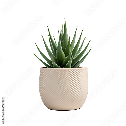 aloe vera plant in a pot isolated.Aloe vera plants pot transparent.desk decoration plant pot. minimalist plant pot PNG. Generative AI.
