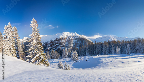 Beautiful winter panorama with fresh powder snow. Landscape with spruce trees, blue sky with sun light and high Alpine mountains on background © Uuganbayar
