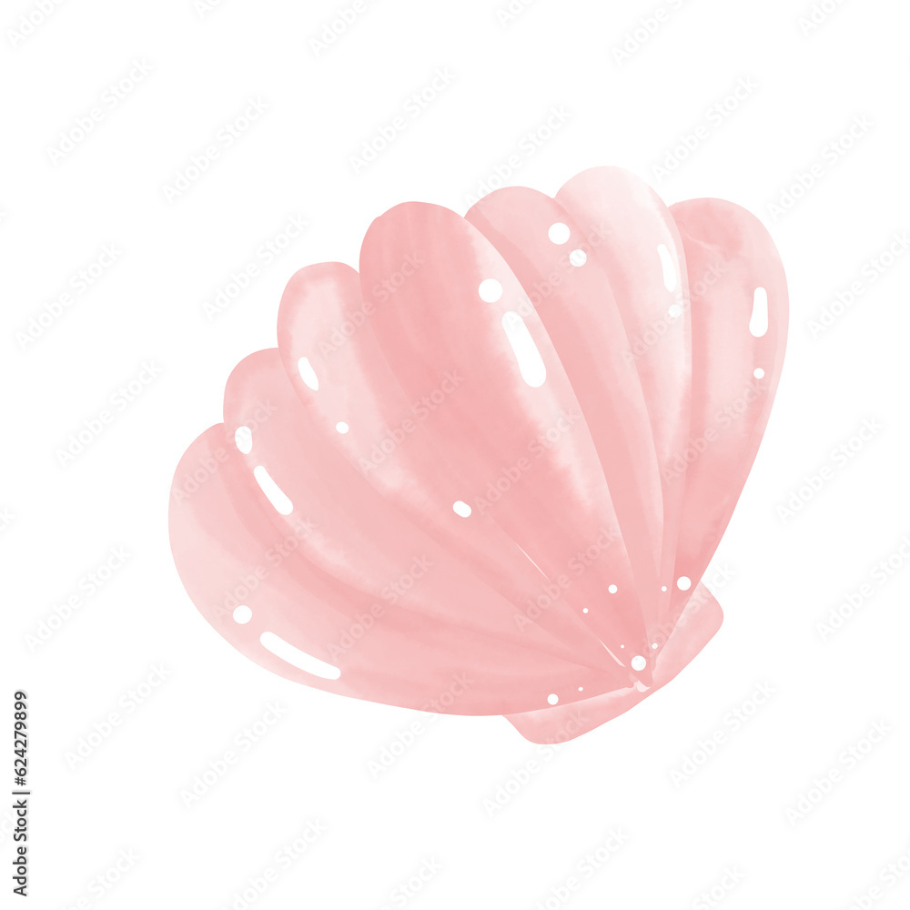 pink rose shells