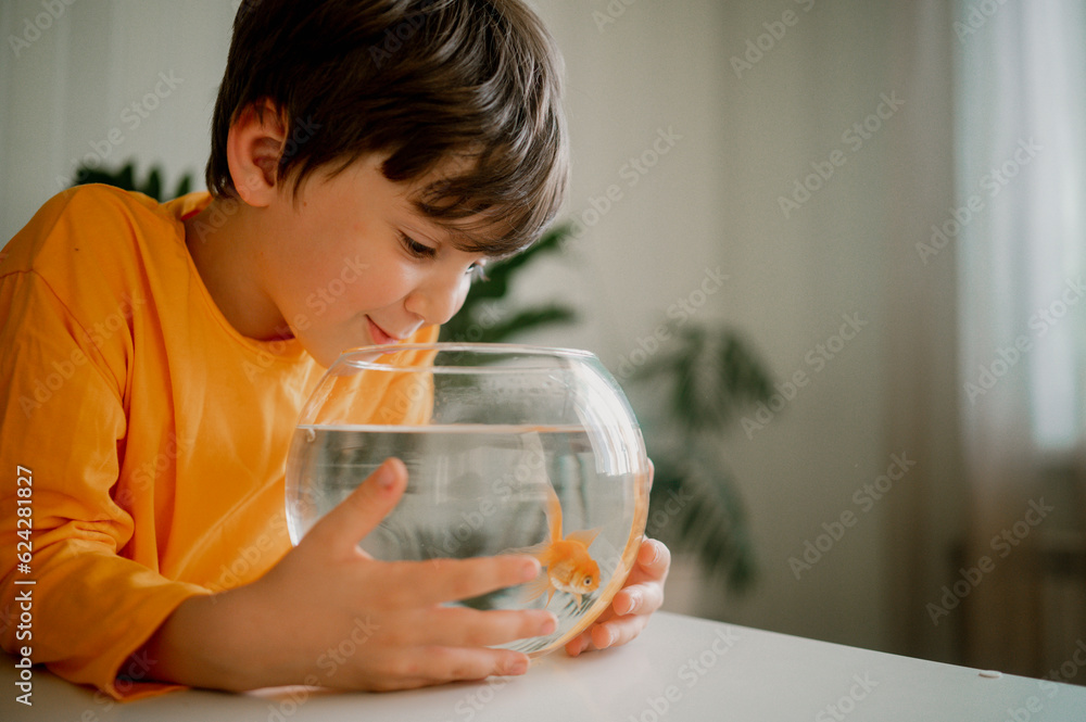Smiling boy looking at fish in bowl at home Smiling boy looking at fish in bowl at home