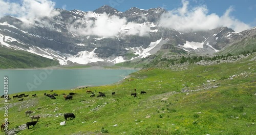 Salanfe dam and lake in the Valais in the mountains in Switzerland photo