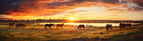 Purebred Horses Peacefully Grazing In Field At Sunset. Panoramic Banner. Generative AI