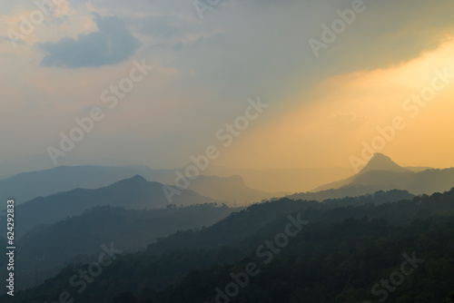 Tea plantations in Munnar  Kerala  India. Beautiful tea plantations landscape at sunset