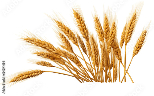 Wheat Ears on Transparent Background. Generative AI