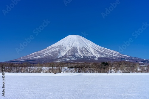 北海道・喜茂別町 雪原と冬の羊蹄山の風景