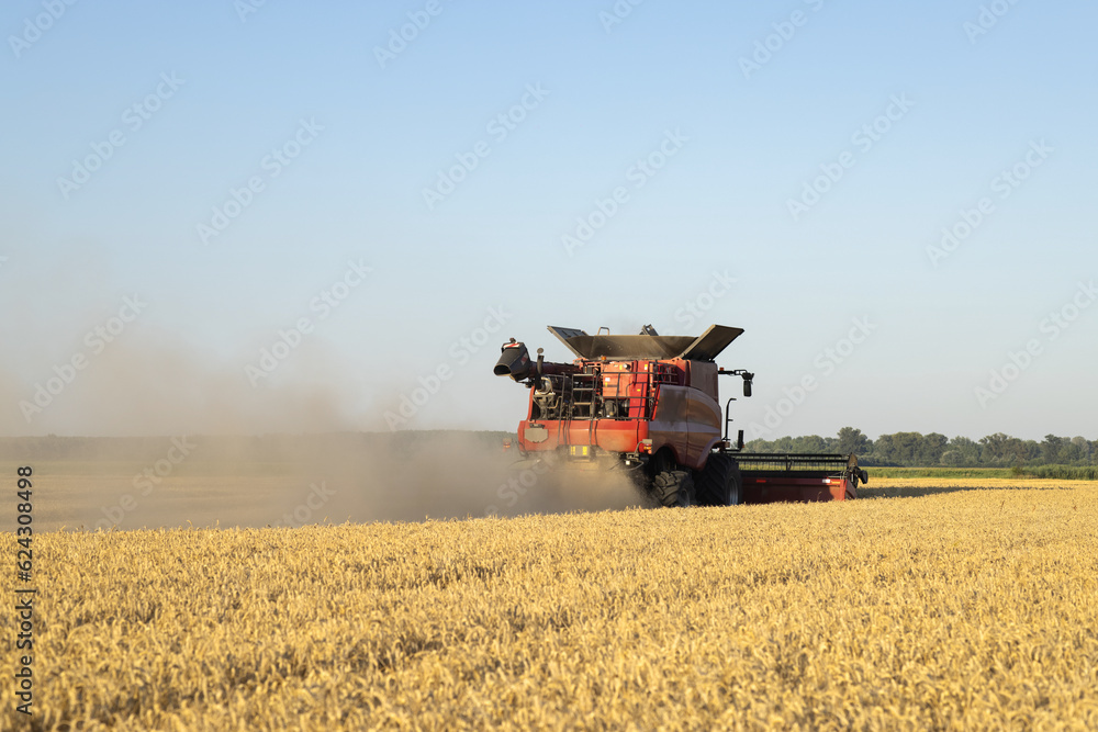 Harvesting combine in the wheat.