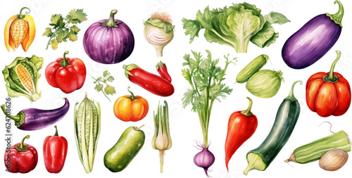 Set of watercolor mixed vegetables Easy to draw, white background