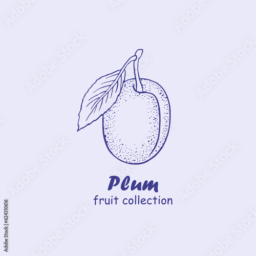 Plum, fruits , logo, plum branch , plums , doodle ,line art, sketch, drawing, illustration, plums and leaves, package logo