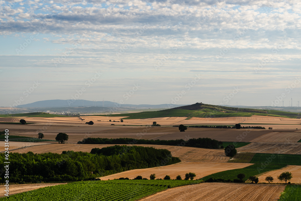 Fototapeta premium Aussichtspunkt Weinolsheim mit Blick zum Petersberg und Donnersberg