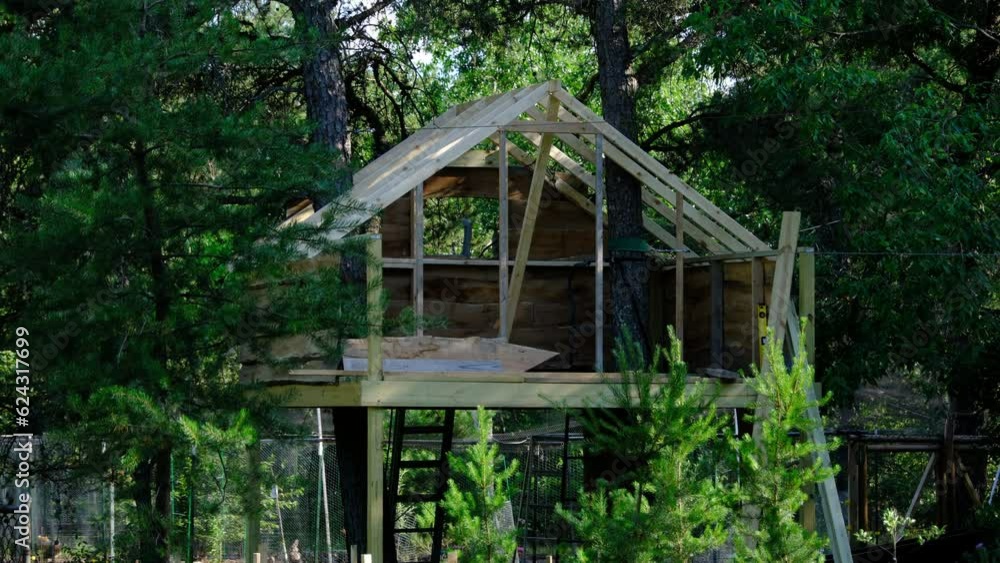 Close up of unfinished tree house in woody backyard with two trees going through center of construction. Close up of unfinished tree house in woody backyard with two trees going through center of construction.