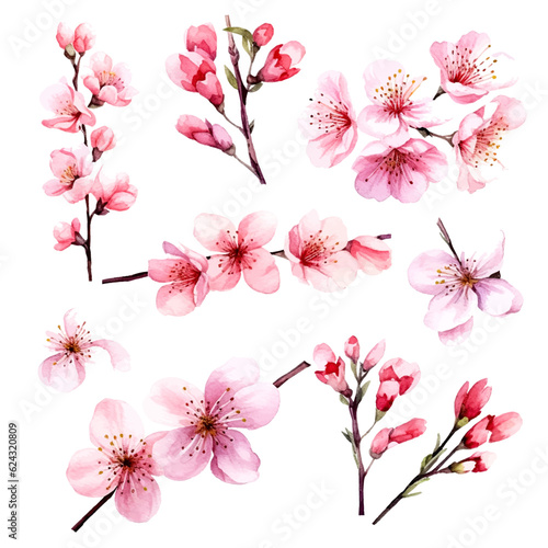 vector set of cherry blossom flowers  pink sakura flower and leaves