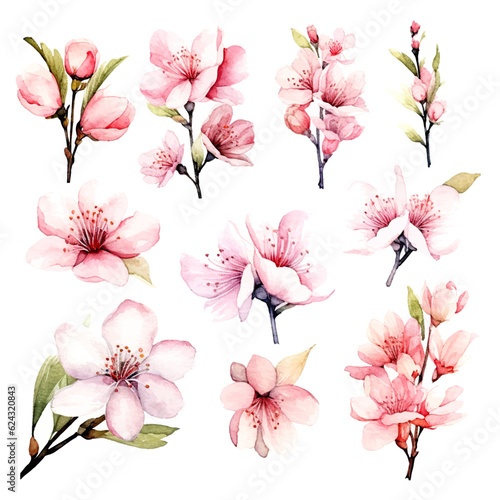 vector set of cherry blossom flowers, pink sakura flower and leaves © IMRON HAMSYAH