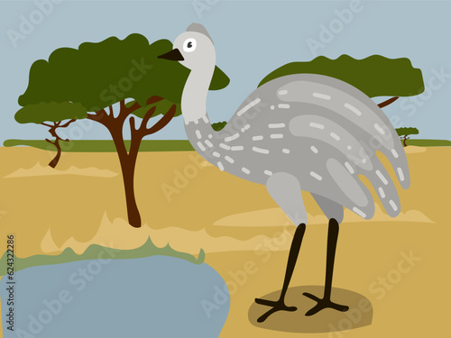 Illustration of cartoon ostrich emu in the safari  desert. Savannah with a funny ostrich. Emu is near the watering hole. Children s illustration  printing for children s books