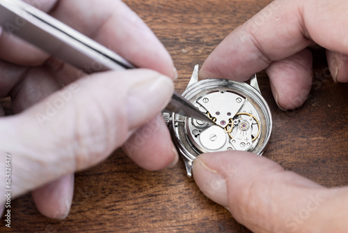 Timeless Precision: A Watchmaker's Artistry in Action