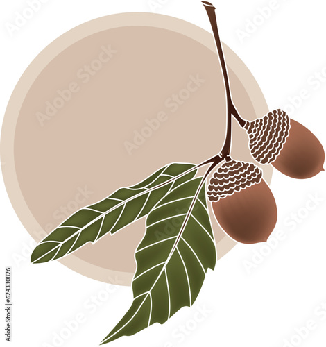 Illustration of oak fruit with leaves on soft brown circle background.