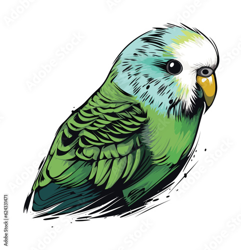A cute budgie vector sketch illustration

