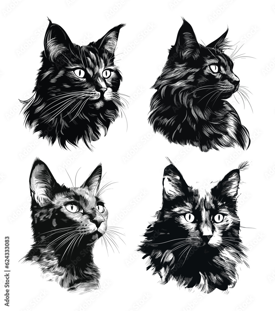 Cat hand drawn illustration set
Cat hand drawn illustration set