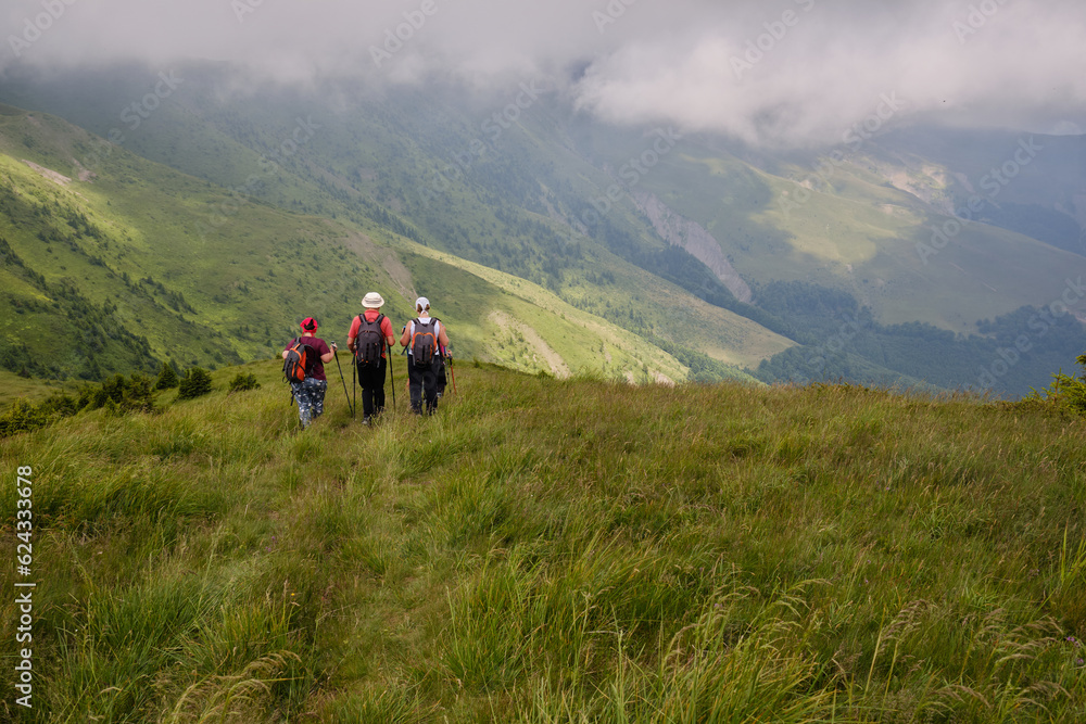 Back view of group tourists in mountains. Hiking with the group. Active lifestyle, sport and tourism. 