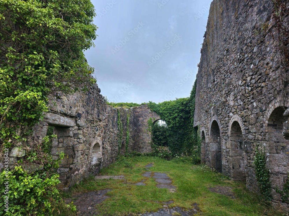 Fototapeta premium wheal francis mine on the great flat lode