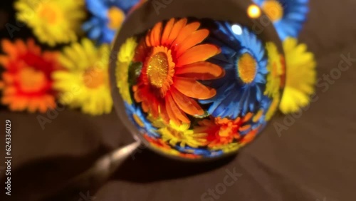 Beautiful flowers reflecting in glass orb (ID: 624336029)