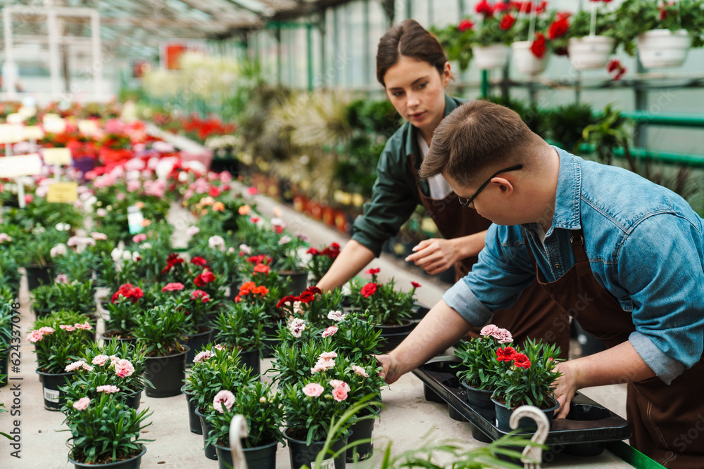 Woman and man with down syndrome sorting flowers while working in greenhouse