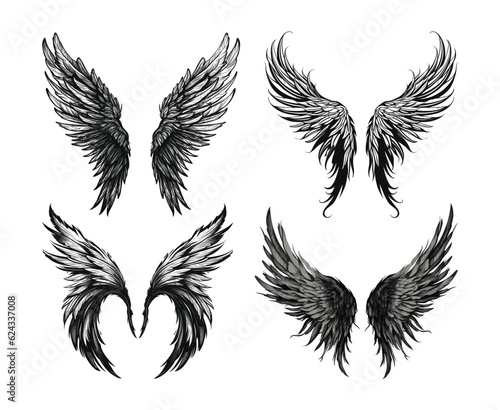 Hand drawn wings collection vector