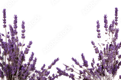 Enchanting Lavender Frame Border Isolated Sprigs. Generative AI