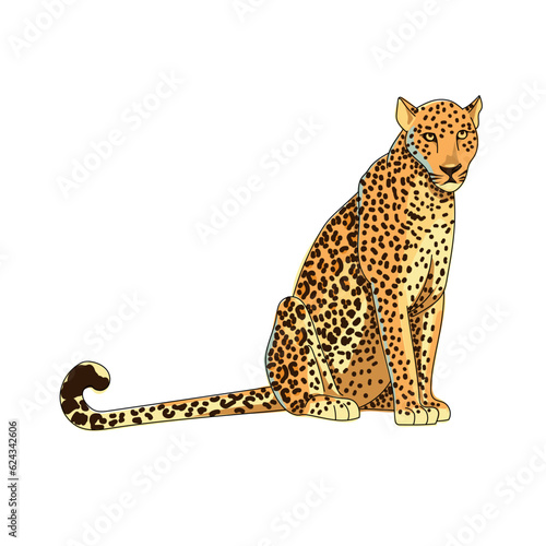 Leopard isolated on white background. The predator is sitting. African animal in cartoon style. Vector illustration.