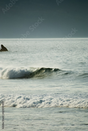 waves on the beach