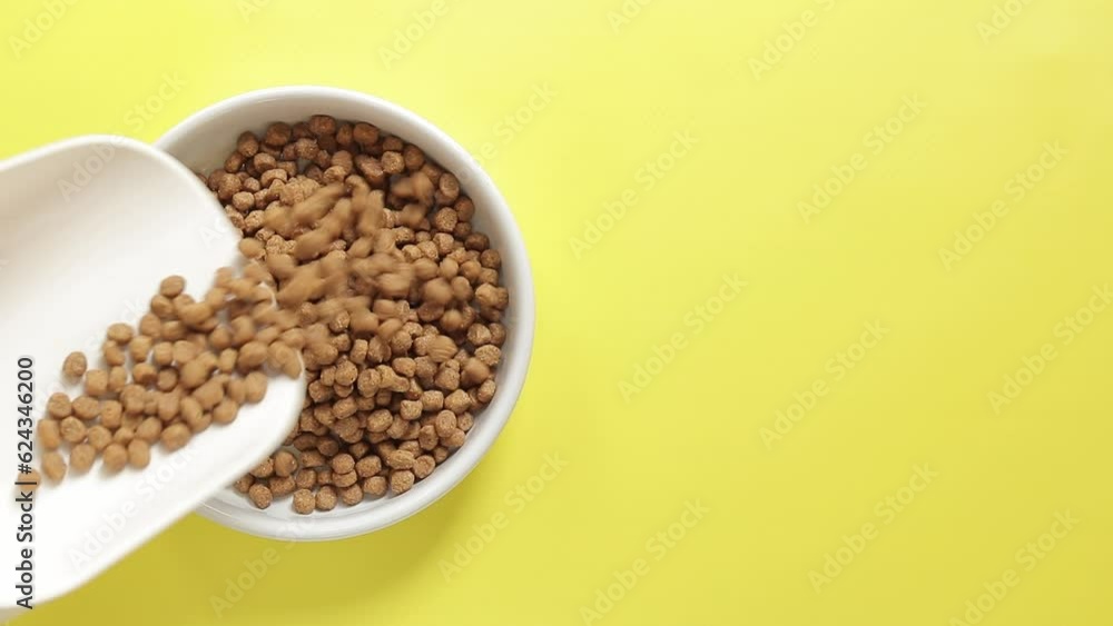 Pour cat food into a bowl, top view. Pet food. Dry pet food falls into the bowl. White bowl for the animal on a yellow background Pour cat food into a bowl, top view. Pet food. Dry pet food falls into the bowl. White bowl for the animal on a yellow background