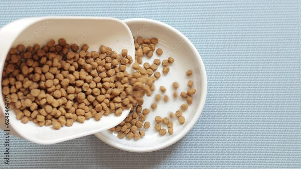 Pouring cat food into a bowl, top view. White bowl for cat food on a special mat. Dry pet food falls into the bow Pouring cat food into a bowl, top view. White bowl for cat food on a special mat. Dry pet food falls into the bow