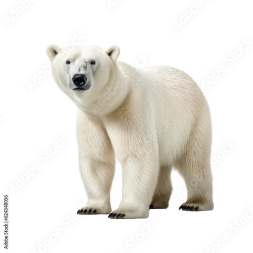 Big polar white bear on a clean transparent background. Generative AI