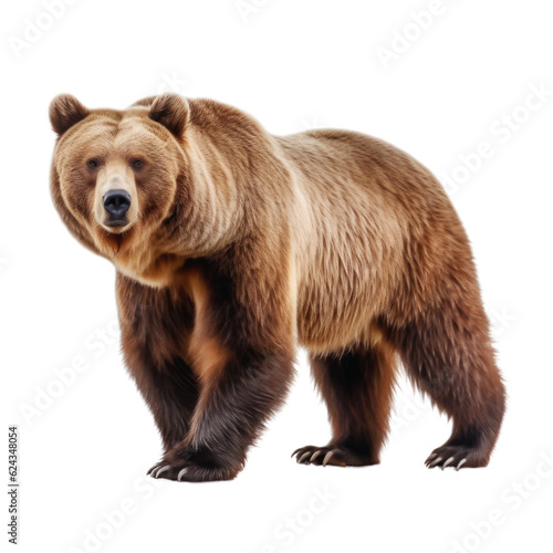 Big brown bear on a clean transparent background. Generative AI © Viktor