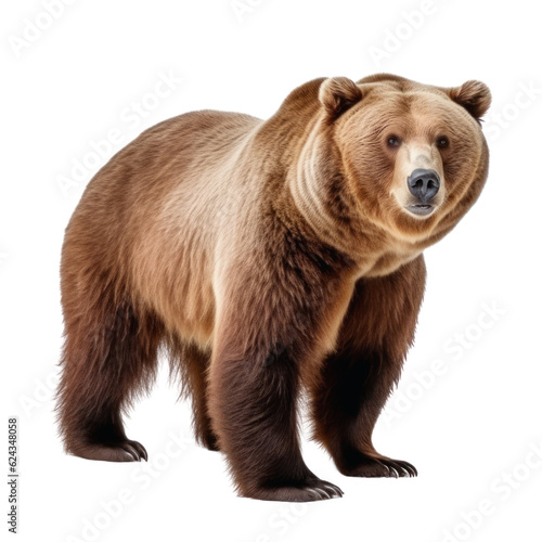 Big brown bear on a clean transparent background. Generative AI © Viktor