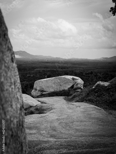 dirt road with big rock