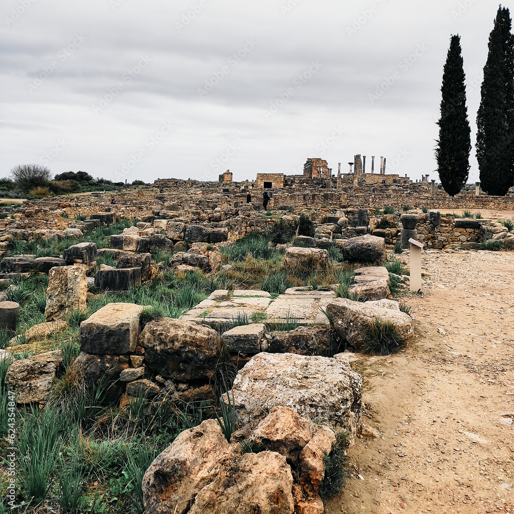 ruins of ancient roman volubilis